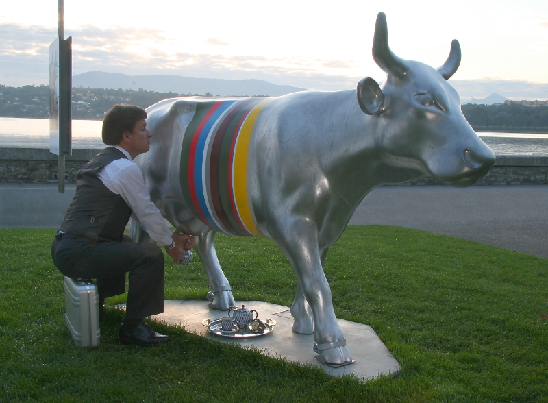 Cow photo competition winner, Geneva Switzerland.jpg - Cow photo competition winner